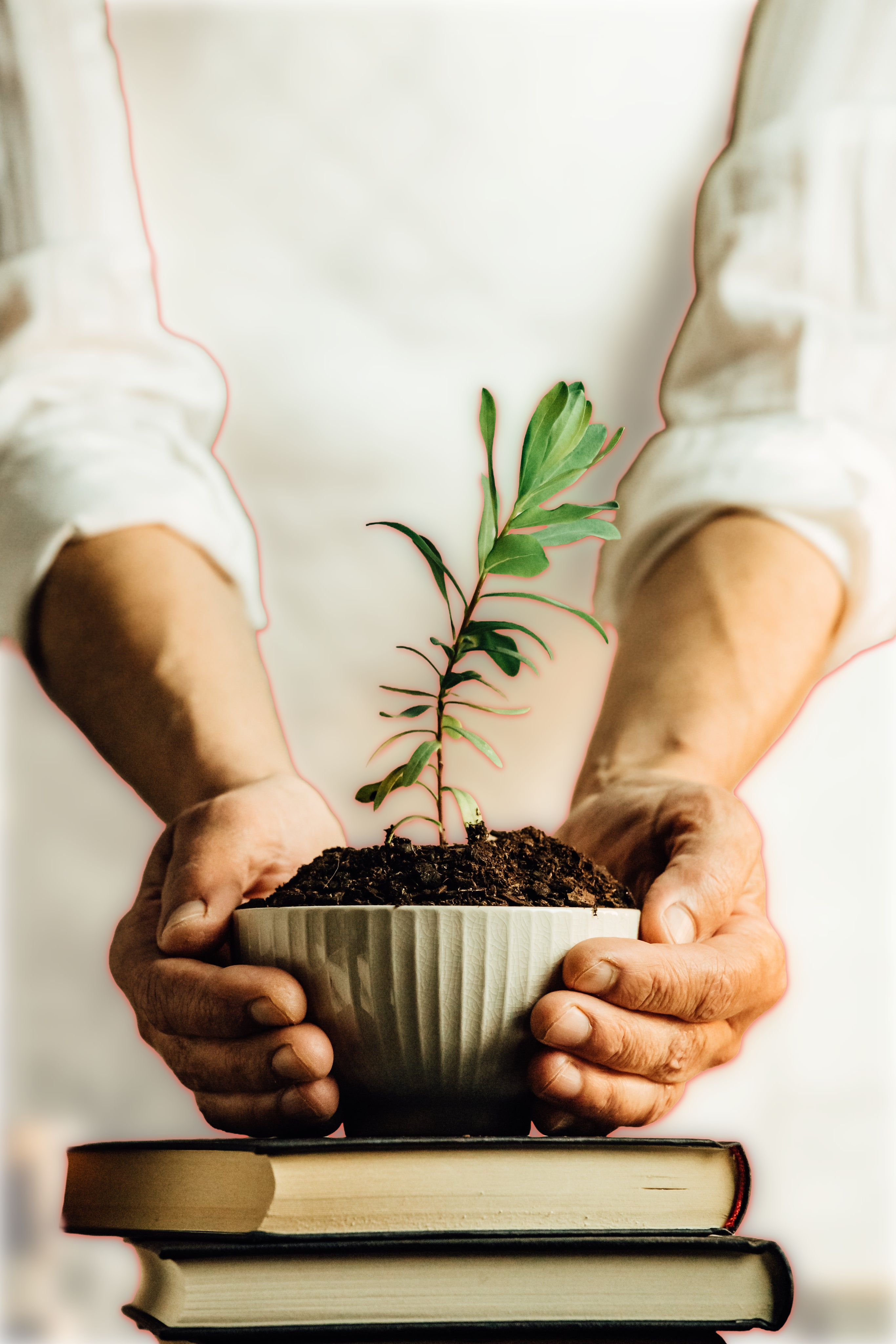 Person holding a small potted plant on top of books with a blurred background
