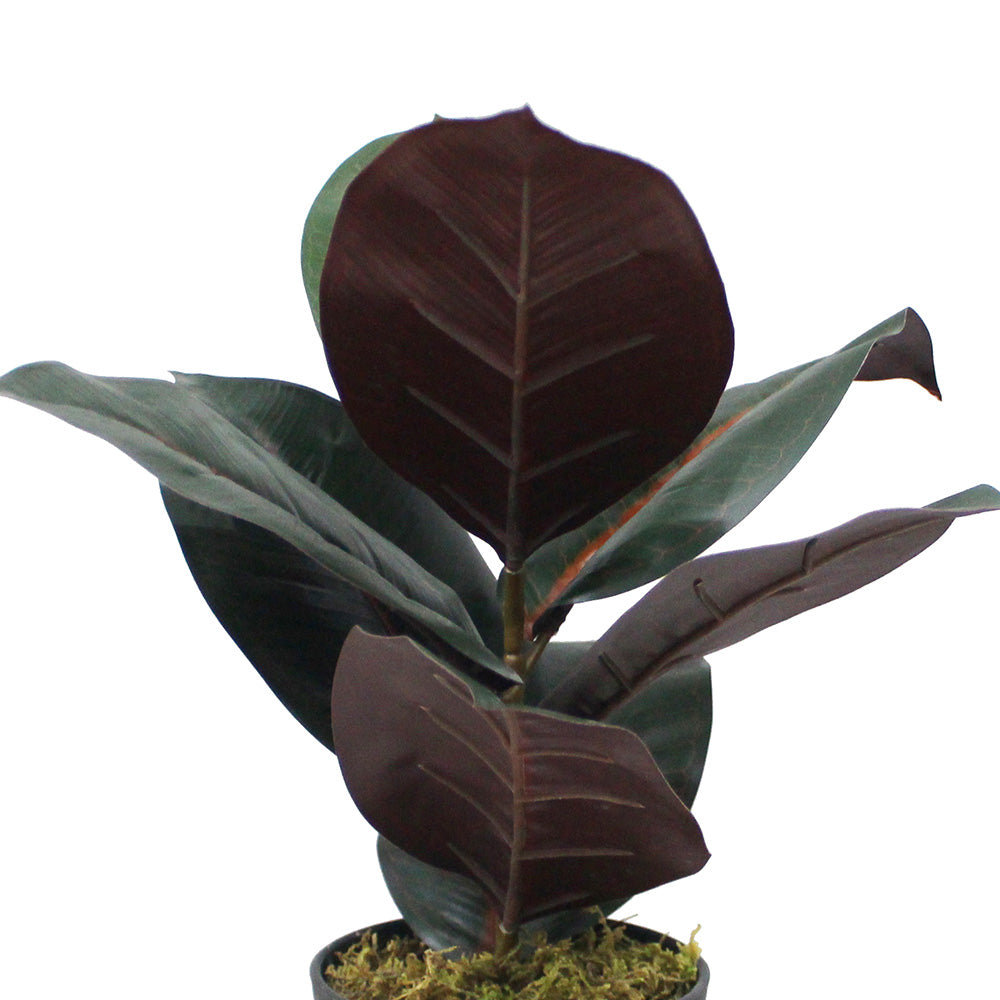 Mongui Artificial Rubber Potted Plant 1.2'