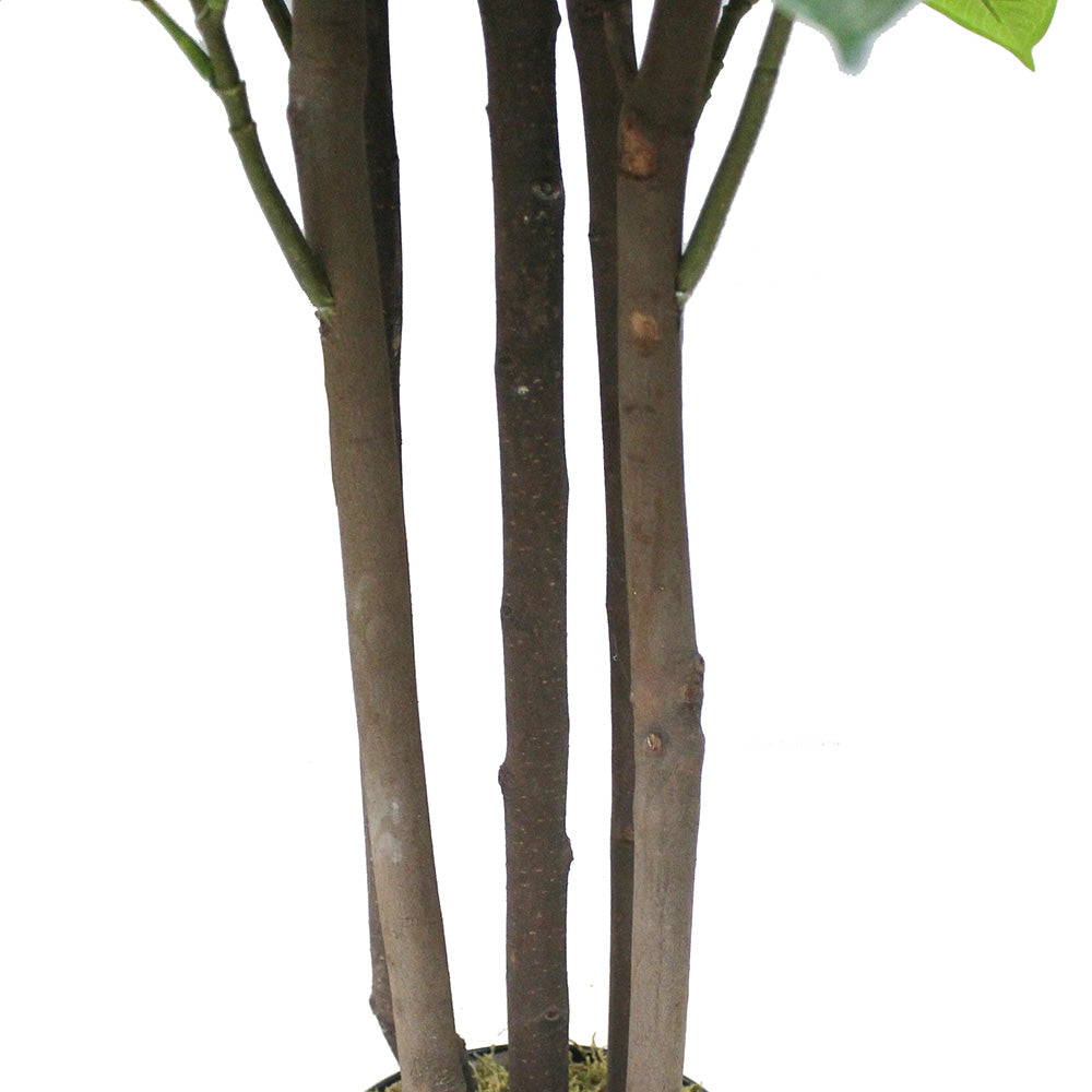 Encanto Artificial Rubber Potted Plant (Multiple Sizes)