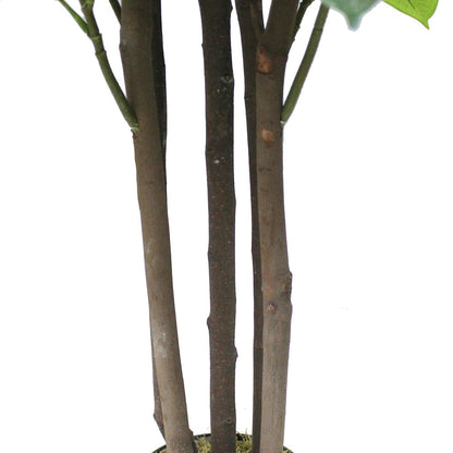 Encanto Artificial Rubber Potted Plant (Multiple Sizes)