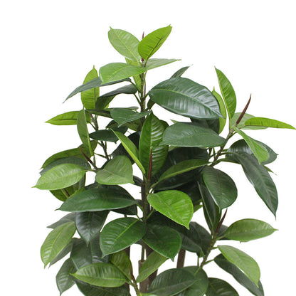 Encanto Artificial Rubber Potted Plant (Multiple Sizes)