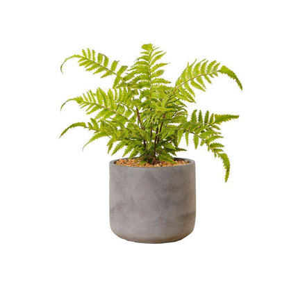 Kuta Potted Faux Fern