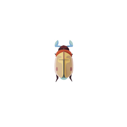 Lemon Fruit Beetle