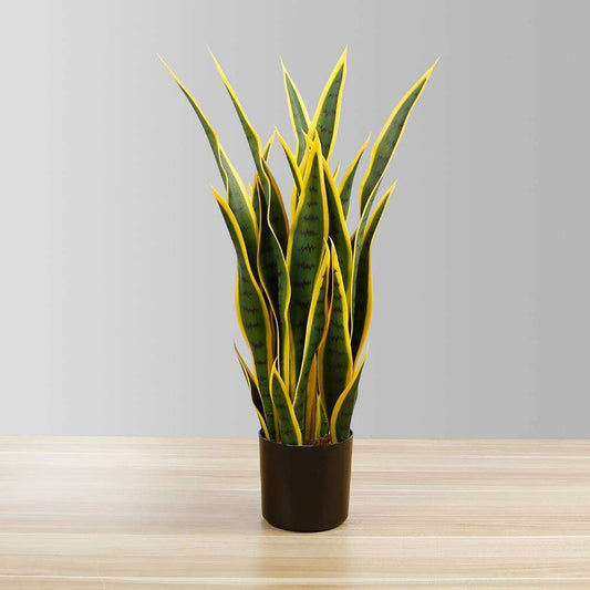 Luis Artificial Snake Sansevieria Yellow & Green Potted Plant 26"