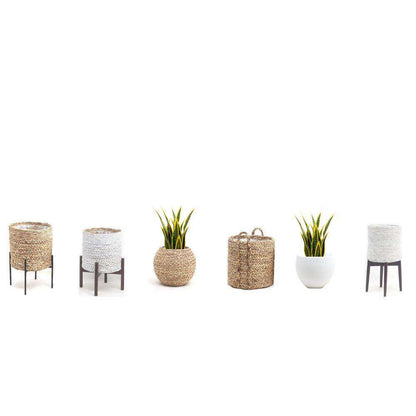 Luis Artificial Snake Sansevieria Yellow & Green Potted Plant 26"