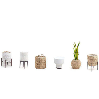 Luna Artificial Snake Sansevieria Yellow & Green Potted Plant (Multiple Sizes)