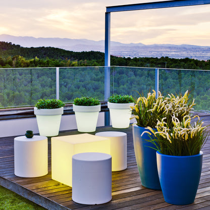 Magnolia Solar & Rechargeable