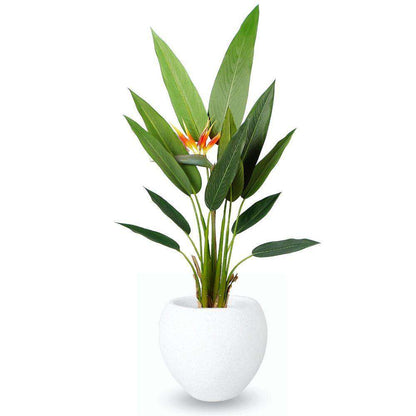 Merida Round Cement Planter (Multiple Sizes)