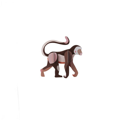 Wild Animal - Monkey