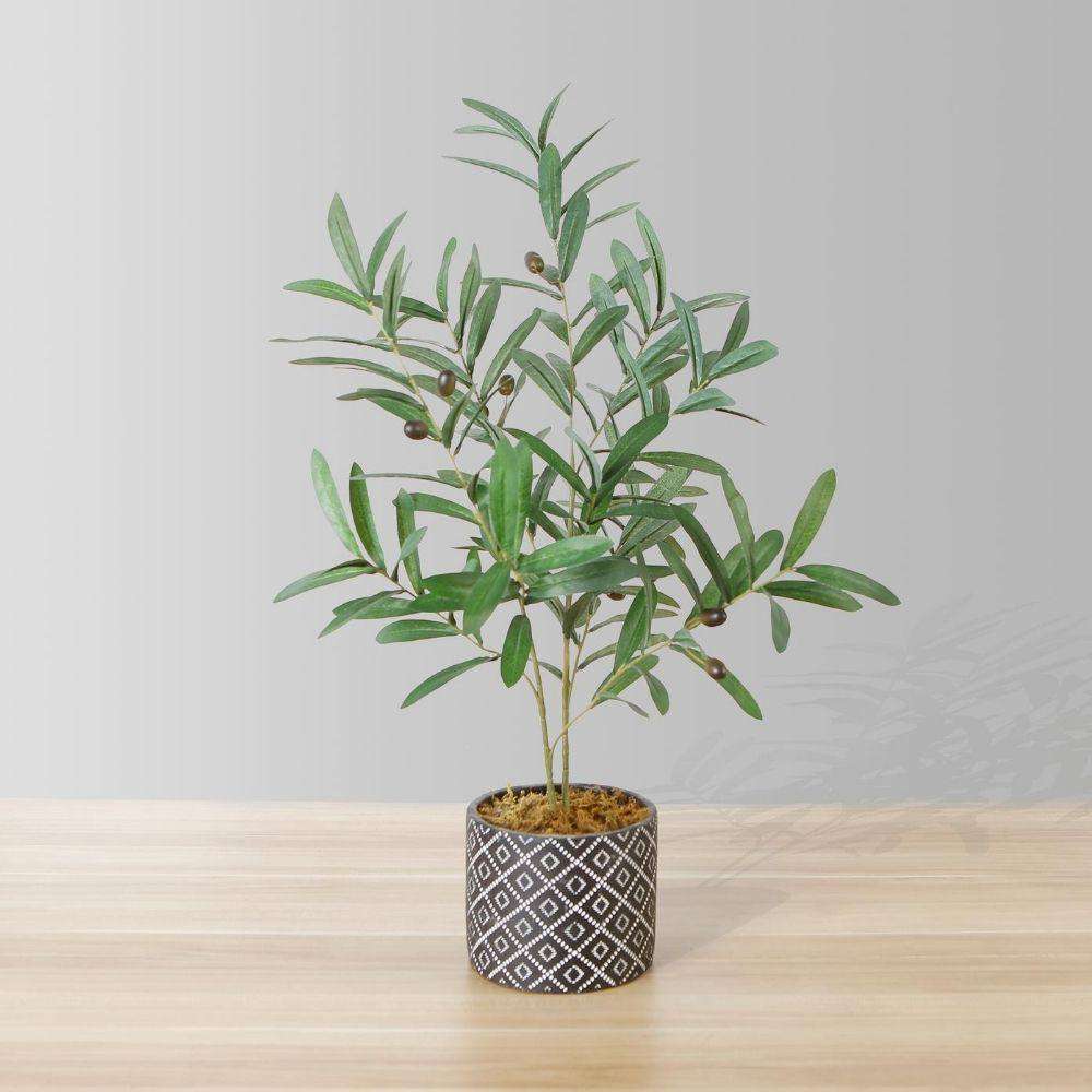 Madero Potted Faux Olive Plant