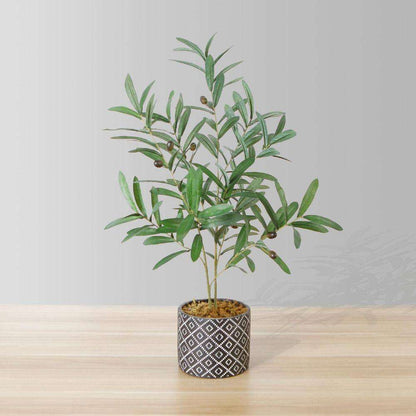 Madero Potted Faux Olive Plant