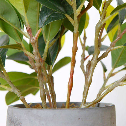 Moralilo Potted Faux Watercress Plant