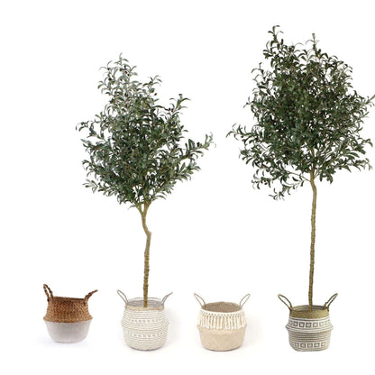 Oli Artificial Olive Tree Potted Plant (Multiple Sizes)