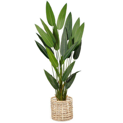 Oscar Water Hyacinth Planter