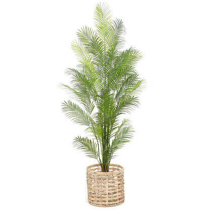 Oscar Water Hyacinth Planter