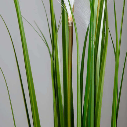 Ozie Artificial Reed Grass Potted Plant 35"
