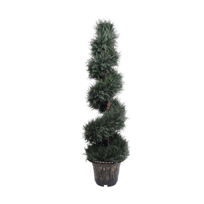Perth Faux Potted Spiral Boxwood Topiary Plant (Multiple Sizes)