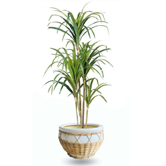 Pura Ceramic Planter 12’’ Cement