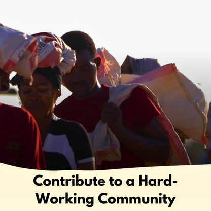 Plant a Mangrove Tree - Donate - The GoodApi™ - Austrige™