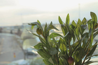 伯班克人造橄欖枝花束 14 英吋 x 8 英吋（3 件組）