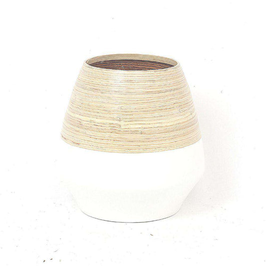 Sal M - Bamboo Floor Planter