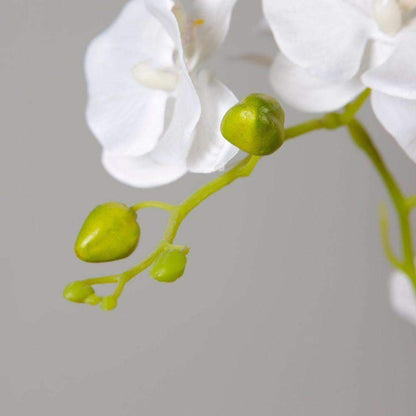 Tampico Faux Potted Orchid Floral Arrangement 24 Inches