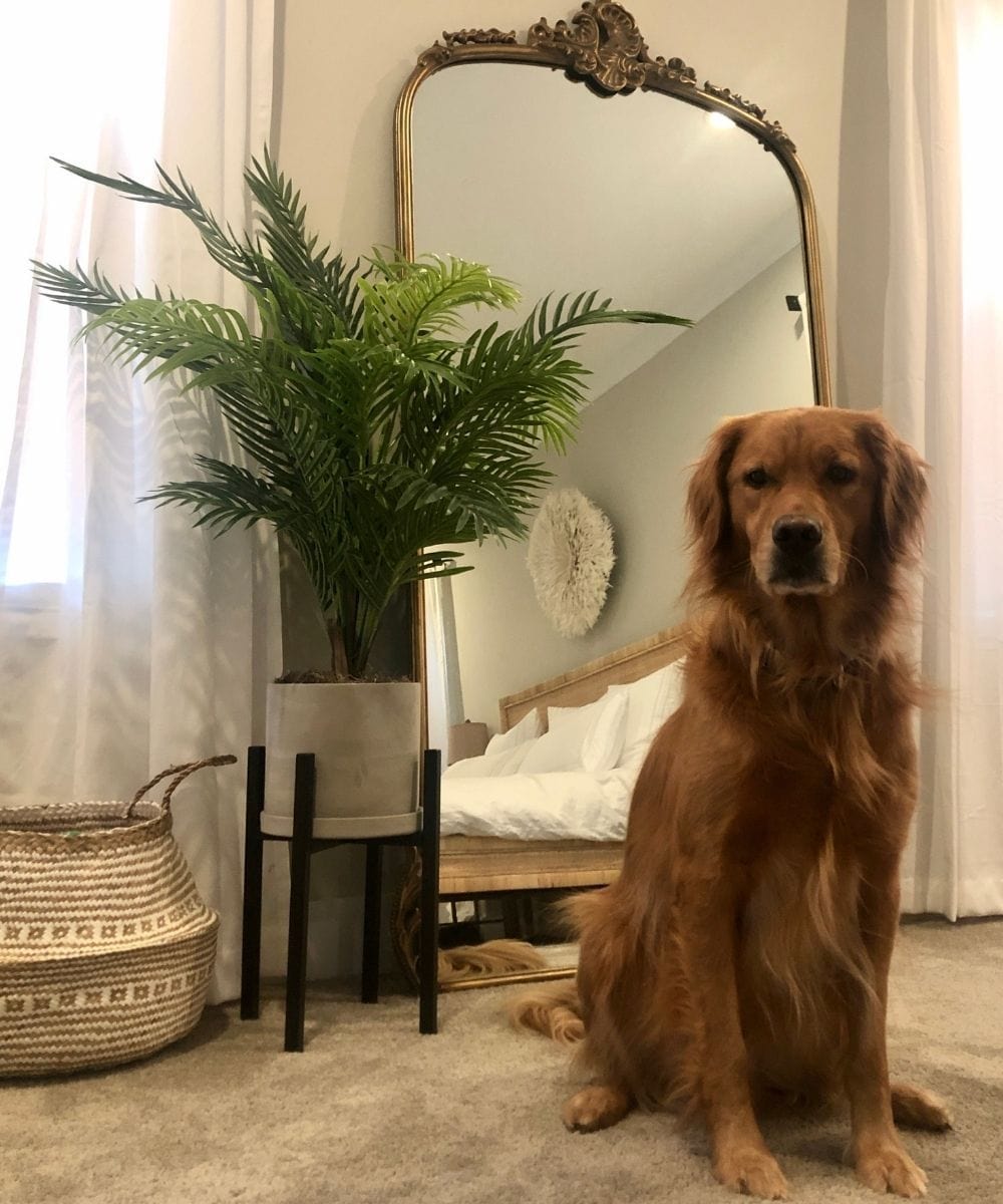 Lolo Artificial Hawaii Palm Potted Plant 3'