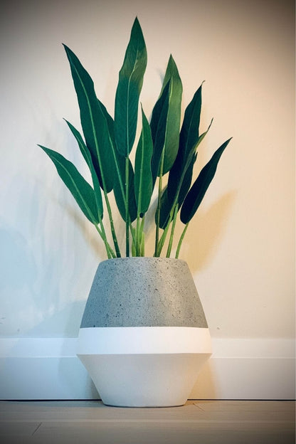 Gia Cement Planter