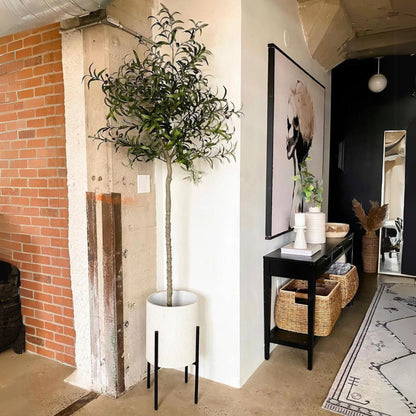 Oli Artificial Olive Tree Potted Plant (Multiple Sizes)