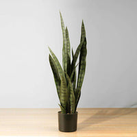 Plante artificielle en pot Zoro, sansevieria vert foncé, 76 cm 