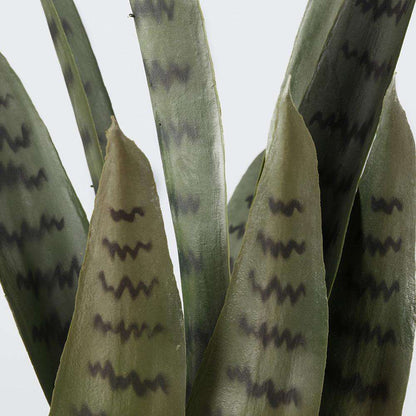 Zoro Artificial Snake Sansevieria Dark Green Potted Plant 30''