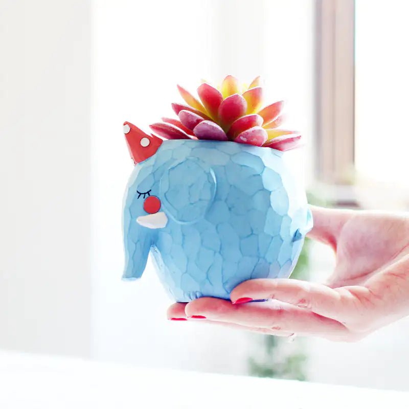 Animals Succulent Planter | Summer