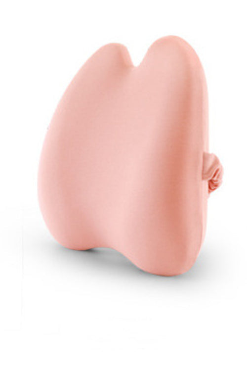 Wrapped Lumbar Support Cushion Pillow Pink / 40X40X10cm lumbar support cushion