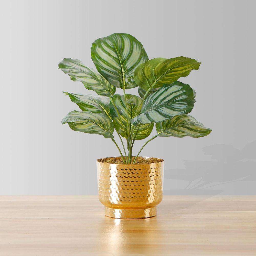 Calathea Faux Potted Plant Artificial
