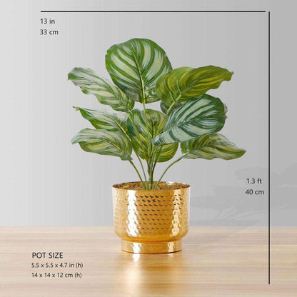 Calathea Faux Potted Plant Artificial