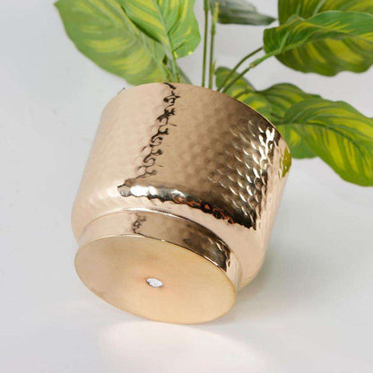 Calathea Faux Potted Plant Artificial