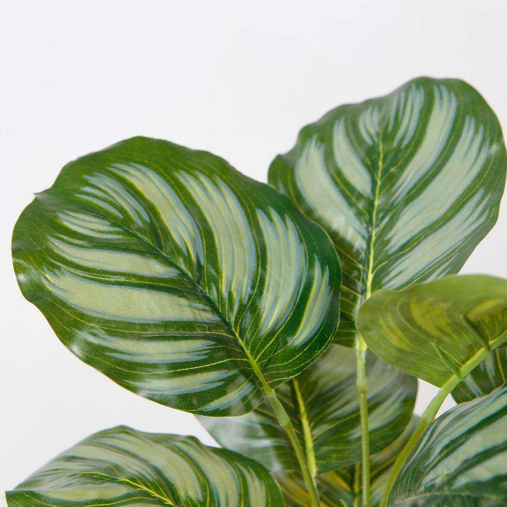Calathea Faux Potted Plant Artificial