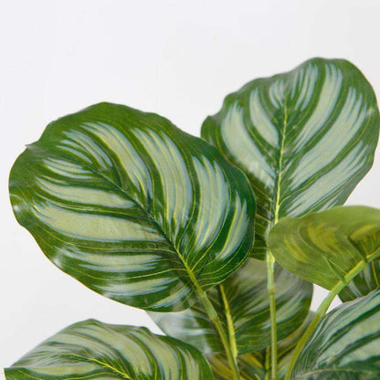 Calathea Faux Potted Plant Artificial