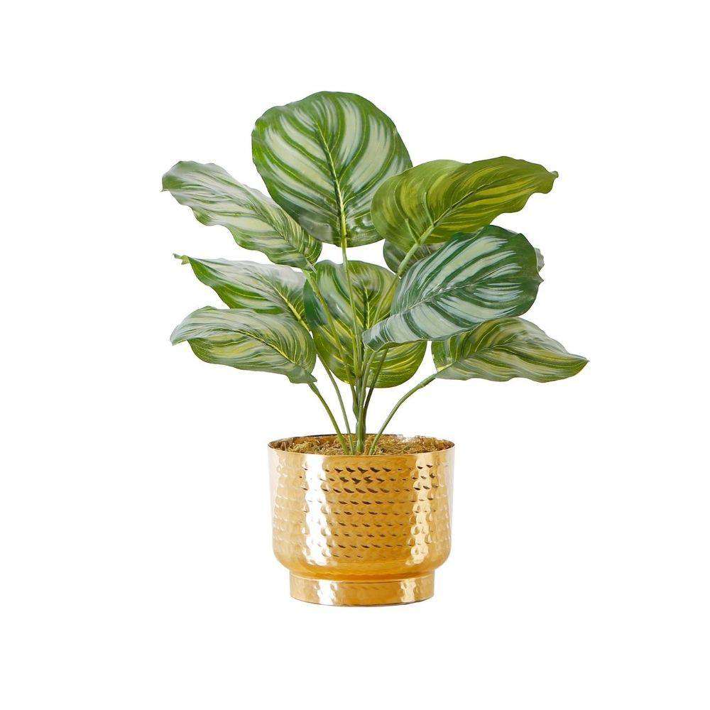 Calathea Faux Potted Plant Artificial