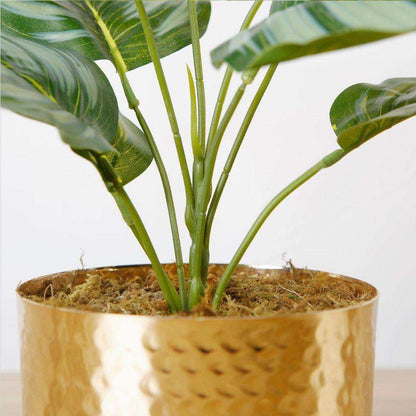 Calathea Faux Potted Plant Artificial