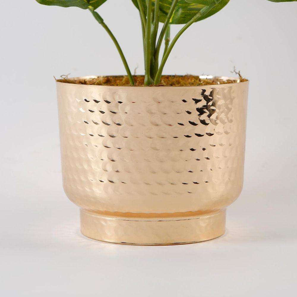 Calathea Faux Potted Plant Artificial