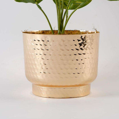 Calathea Faux Potted Plant Artificial