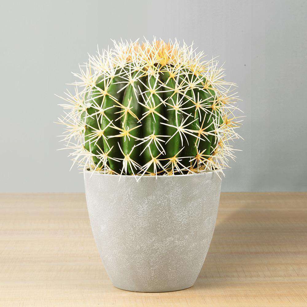 Coco Artificial Cactus Potted Plant 11’’