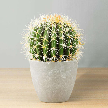Coco Artificial Cactus Potted Plant 11’’