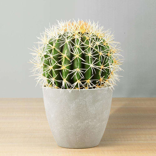 Coco Artificial Cactus Potted Plant 11’’
