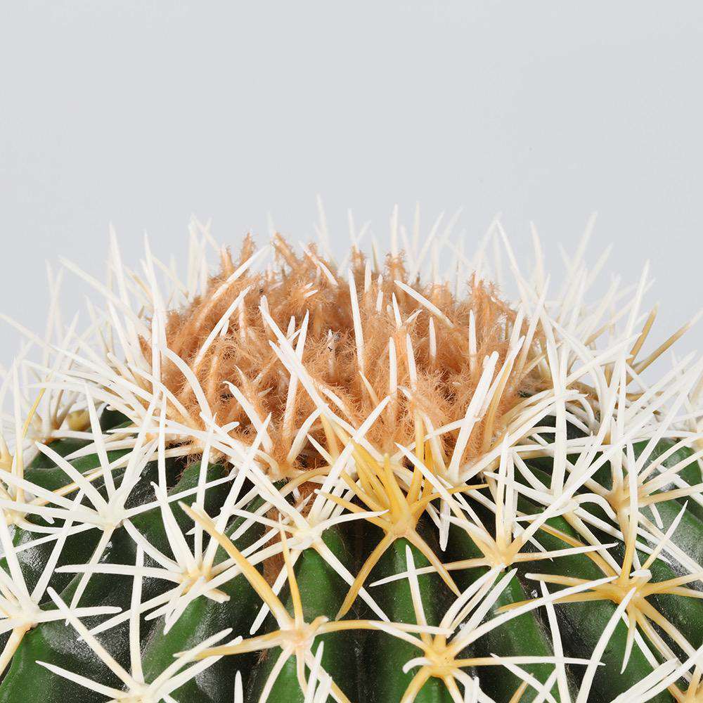Coco Artificial Cactus Potted Plant 11’’