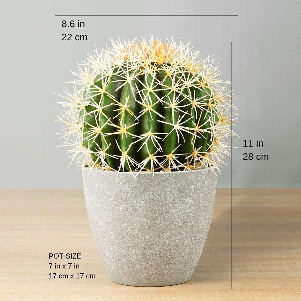 Coco Artificial Cactus Potted Plant 11’’