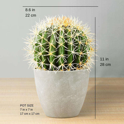 Coco Artificial Cactus Potted Plant 11’’