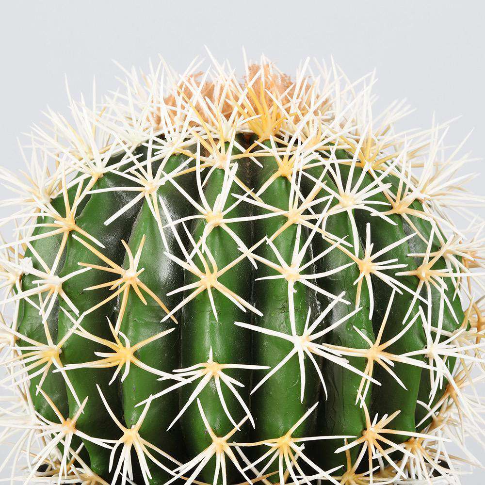 Coco Artificial Cactus Potted Plant 11’’