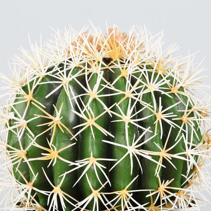 Coco Artificial Cactus Potted Plant 11’’